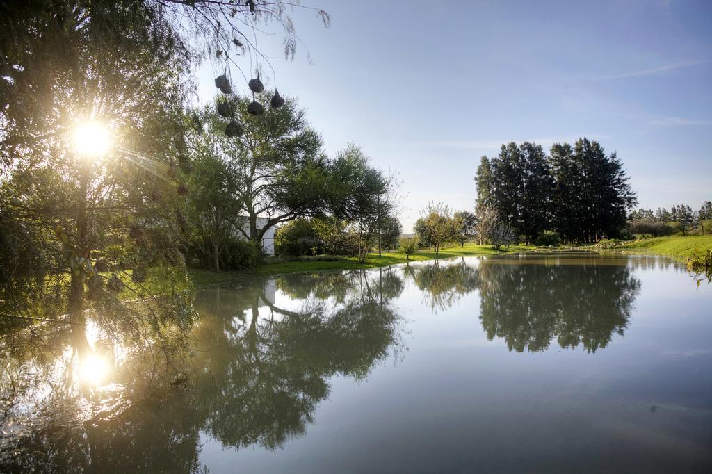 Willa De Old Drift Guest Farm Addo Zewnętrze zdjęcie