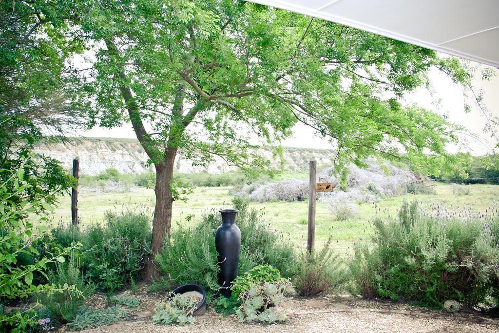 Willa De Old Drift Guest Farm Addo Zewnętrze zdjęcie