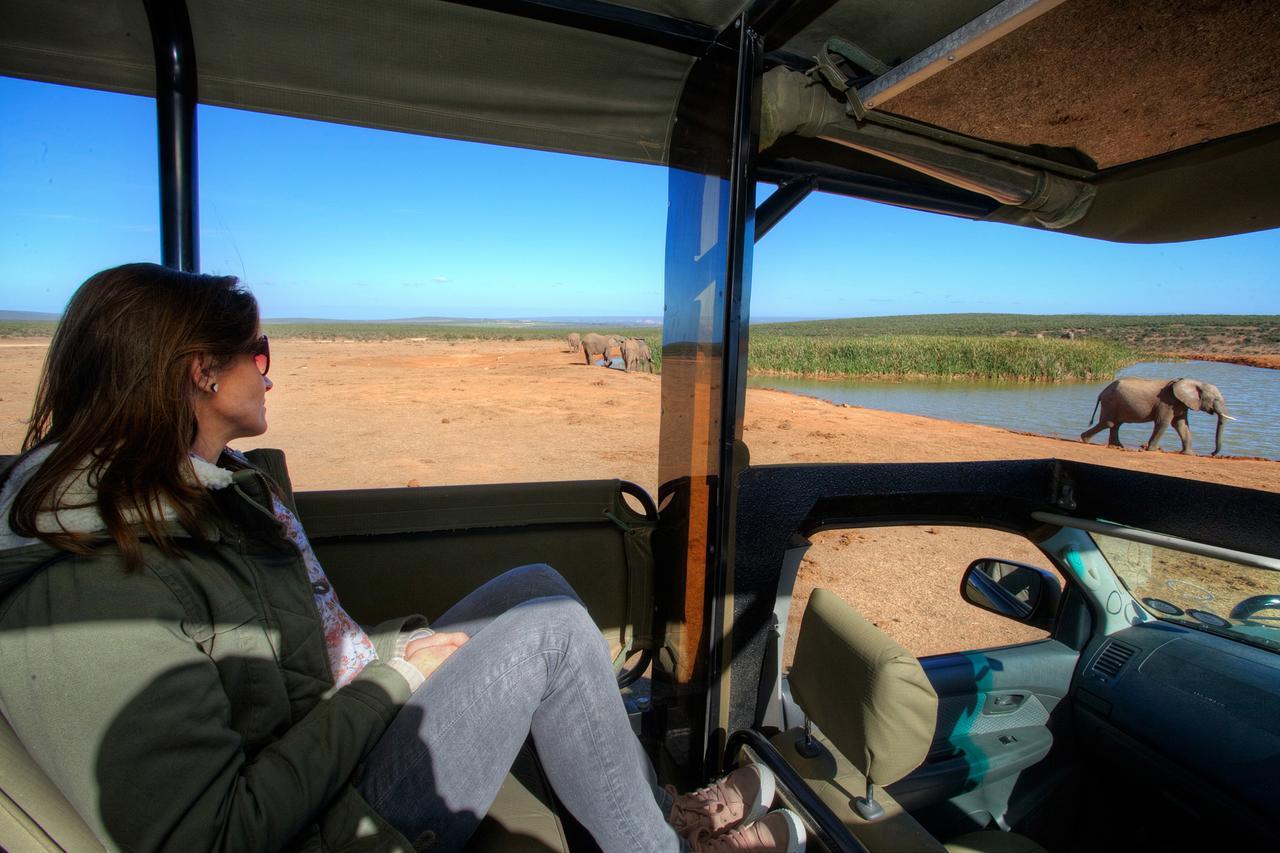 Willa De Old Drift Guest Farm Addo Zewnętrze zdjęcie